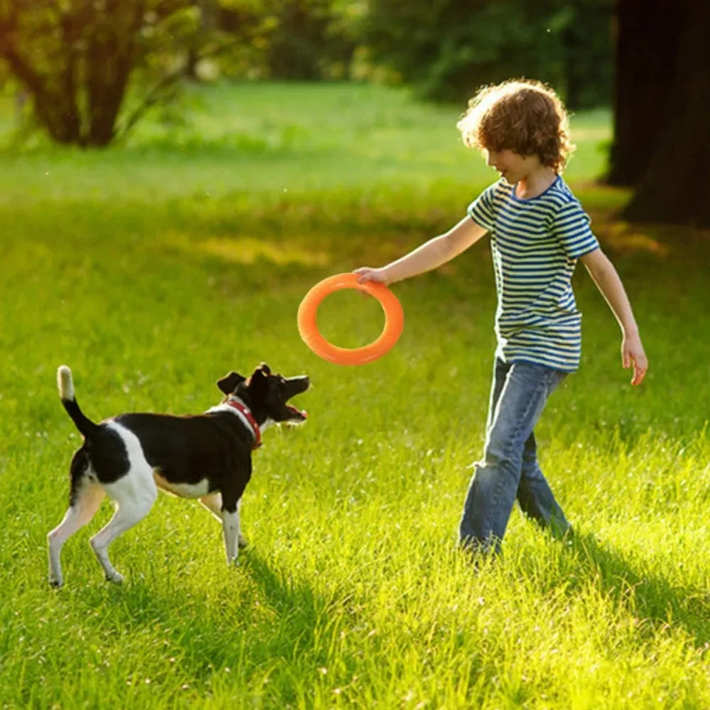 Aro Flotante para Perros — resiste mordiscos y flota en el agua