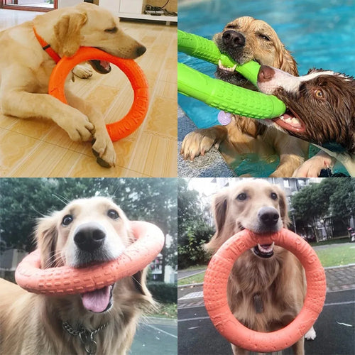 Aro Flotante para Perros — resiste mordiscos y flota en el agua
