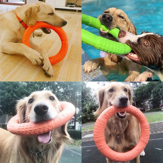 Aro Flotante para Perros — resiste mordiscos y flota en el agua