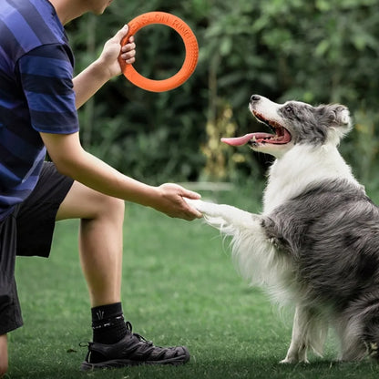 Aro Flotante para Perros — resiste mordiscos y flota en el agua